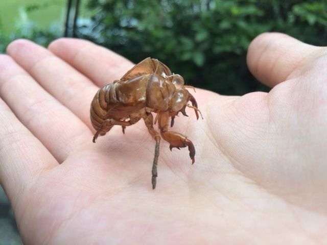 8月15日（月）今日の1コマ