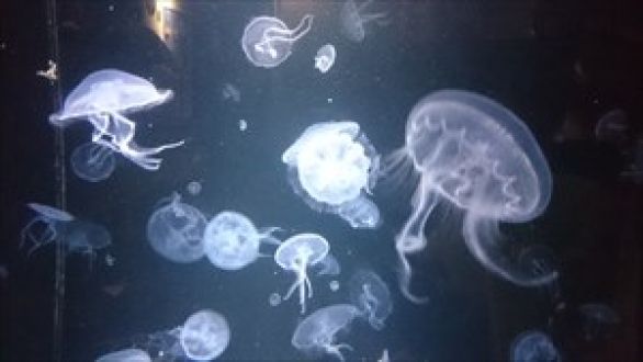 絶対に感動するものが山形にはあるっ！