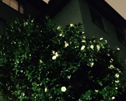 3月14日（火）今日の1コマ