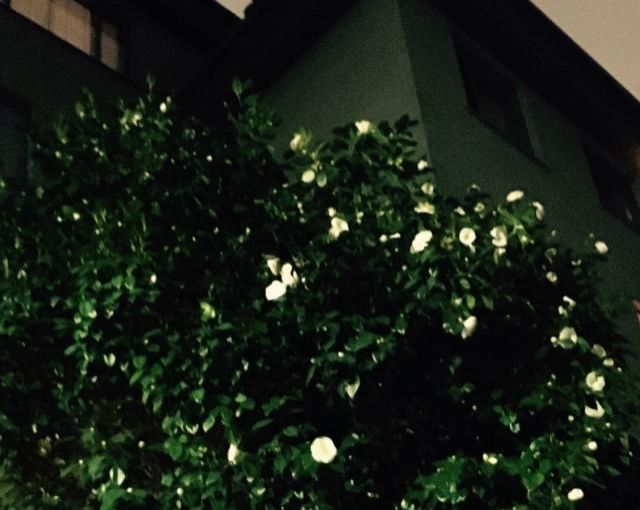 3月14日（火）今日の1コマ