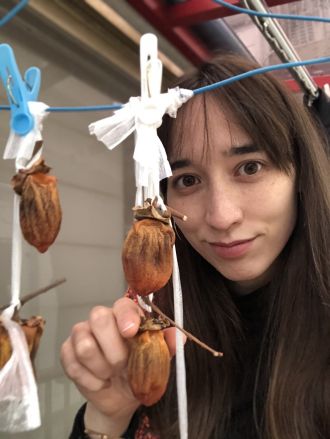 今日の華恵さんの音声コンテンツは、干し柿成長日記！そろそろ食べごろ…？？