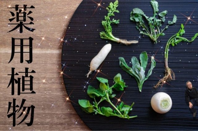 薬用植物
