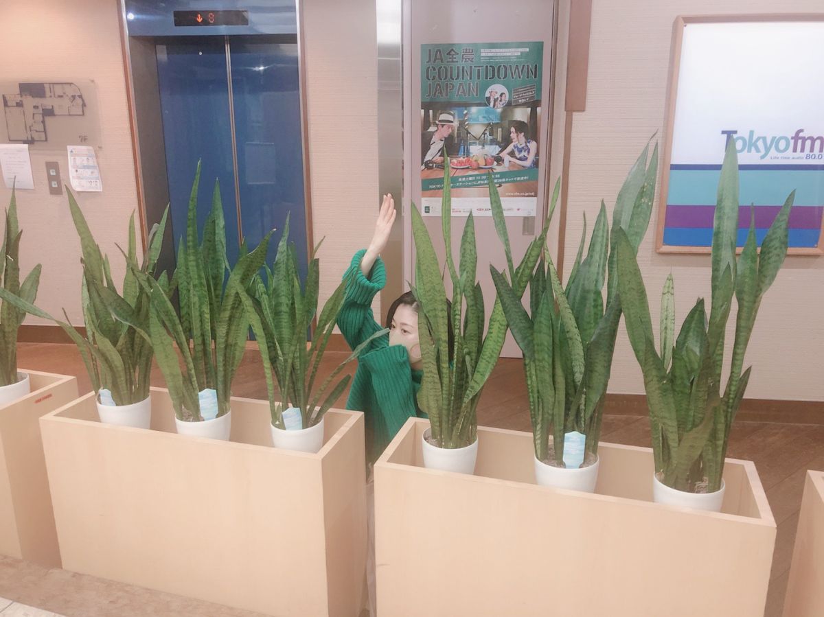 山本真由美の「おまゆの湯」  