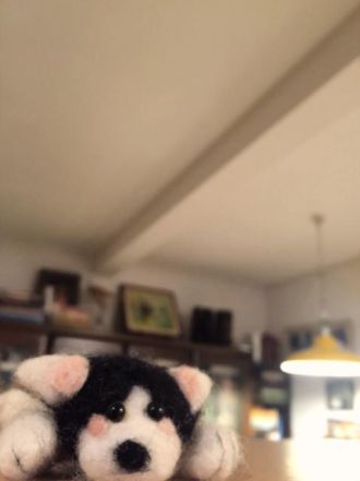 2月22日（水）今日の1コマ