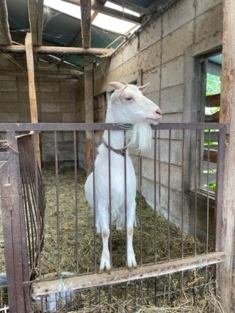 お宝ファイルNO.83　産直倶楽部てんとうむし山下農場