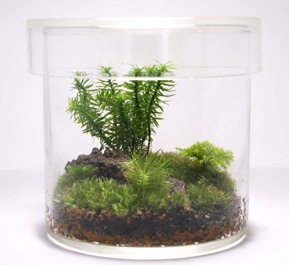 7月8日（水） simple style