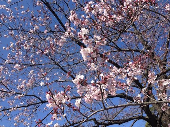 3月25日（金） simple style