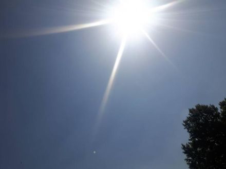 6月4日（月）  今日のメニューは？