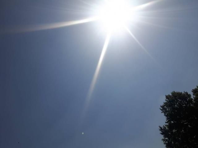 6月4日（月）  今日のメニューは？