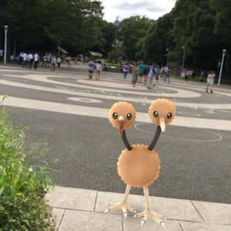 藤井悠のいただき！ゲットだぜ！