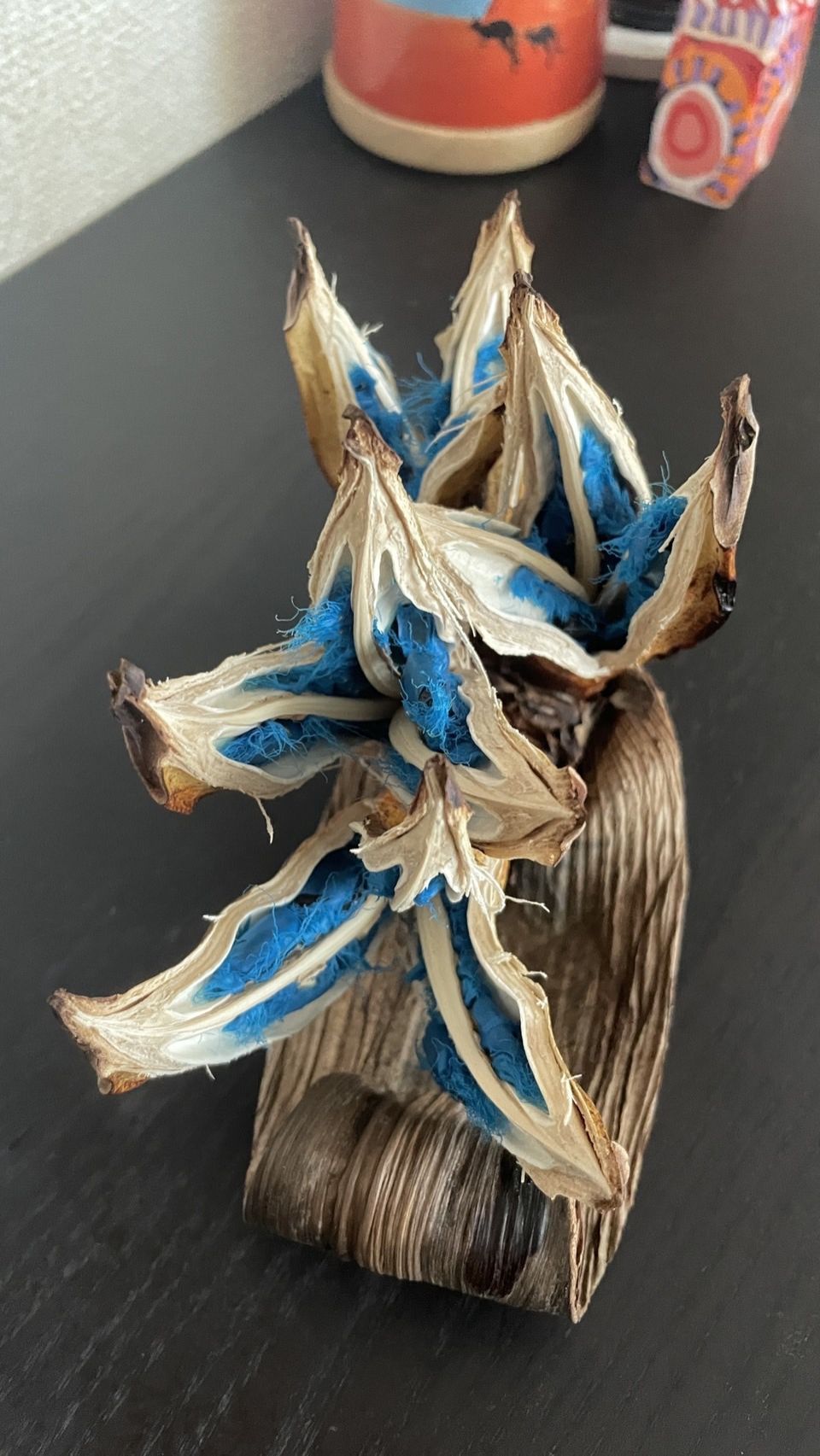 今日は「太平洋戦争開戦日」～ガーデニングで自給自足～指出さんの「地域の編集術」とは？