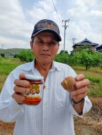 【2022年8月27日放送分善通寺・仲多度お宝ディスカバリー】お宝ファイルNO.44 羽間イチジク