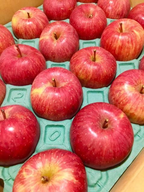 11月30日（水）今日の一コマ