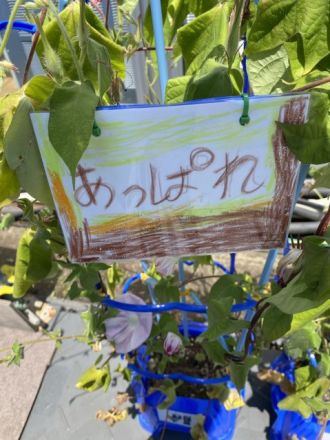 スタッフさんたちはみんな"あっぱれ"でござるよ～大会11日目～