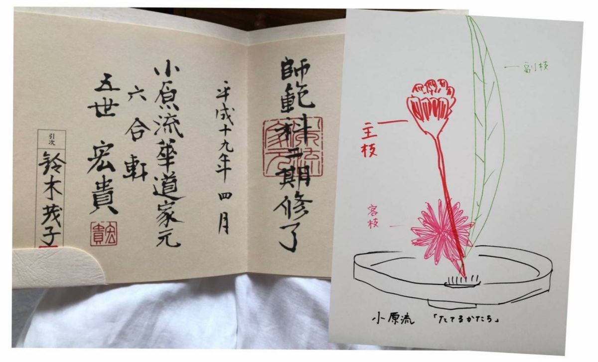 今日の華恵さんの音声コンテンツは、華道の資格を持っています！華道的、花瓶へのお花のいれ方。