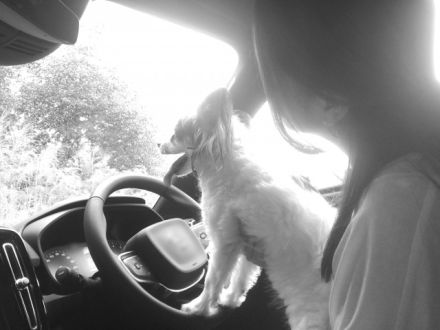 FAMILY DISCO 第437回