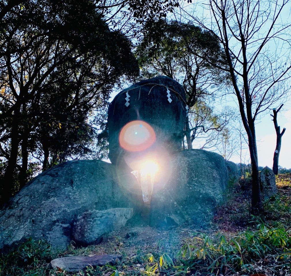 第114回「お茶会に音楽まで？人の笑顔が集まるお寺！」2024.5.28