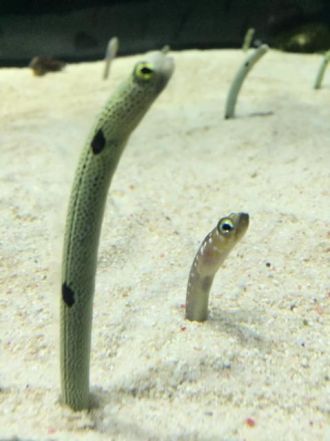 11月18日（金）今日の1コマ