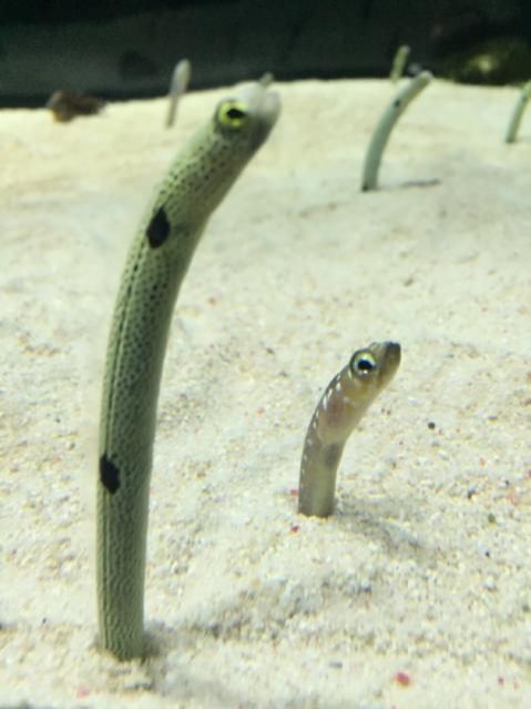 11月18日（金）今日の1コマ