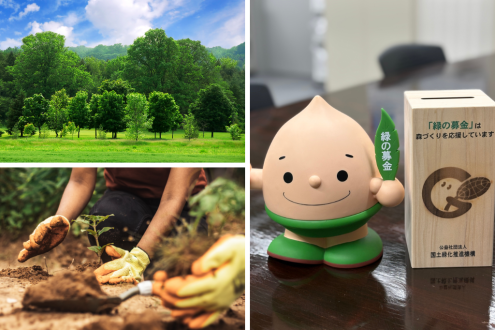 4/15～5/14は「みどりの月間」～公益社団法人 国土緑化推進機構