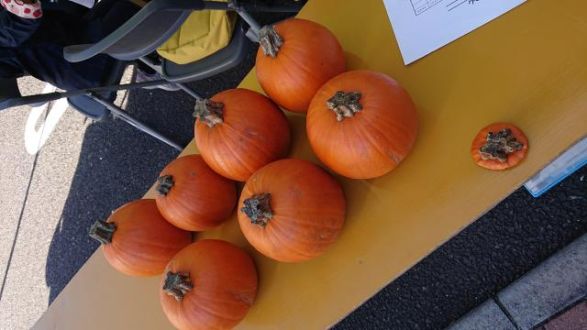今日のテーマは『 宝くじで一等当たったらどうしますか？』