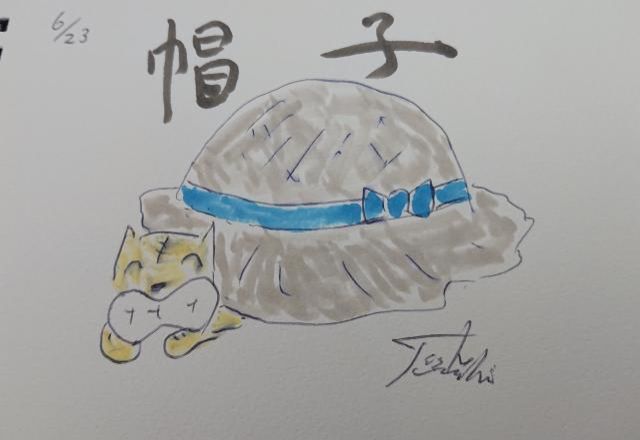 帽子