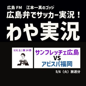 J1 第14 節　サンフレッチェ広島VSアビスパ福岡戦　