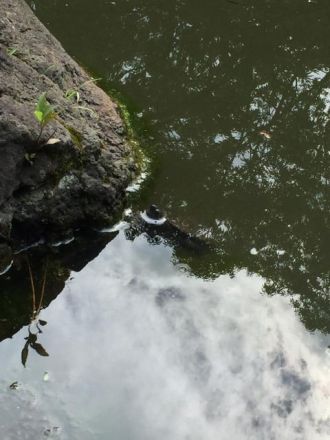 6月6日（月）担当：テット・ワダ