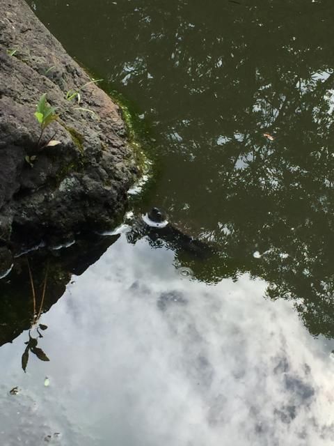 6月6日（月）担当：テット・ワダ