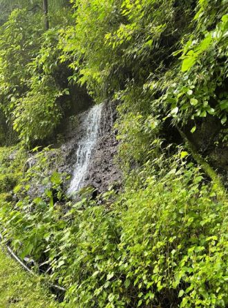 【Dear Japan～都留・わさびと湧き水～第1話】