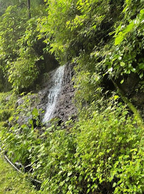 【Dear Japan～都留・わさびと湧き水～第1話】