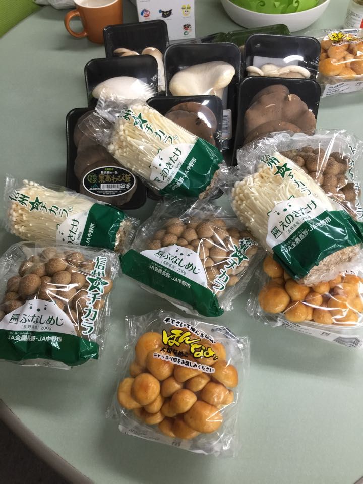 エノキタケ生産日本一！スタジオは「きのこ」づくし！