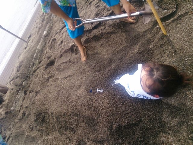 Ａ・Ｏ・Ｒ鹿児島の旅