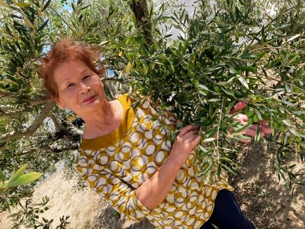 Vol.30 小豆島町・小豆島　オリーブ収穫の季節の味