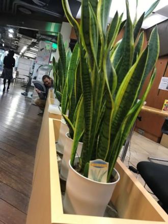 2017年4月18日（火）「ハッピーアワ—大喜利 2枚目俳優の悩みを考えよう！」