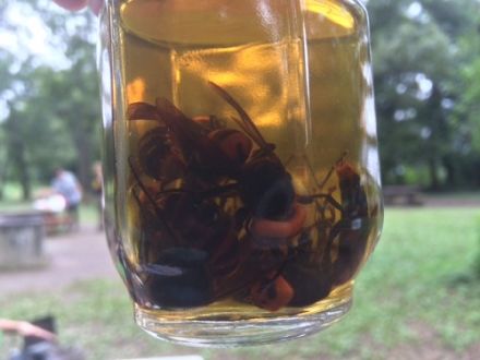 斉藤リョーツのいただき！モリモリ！