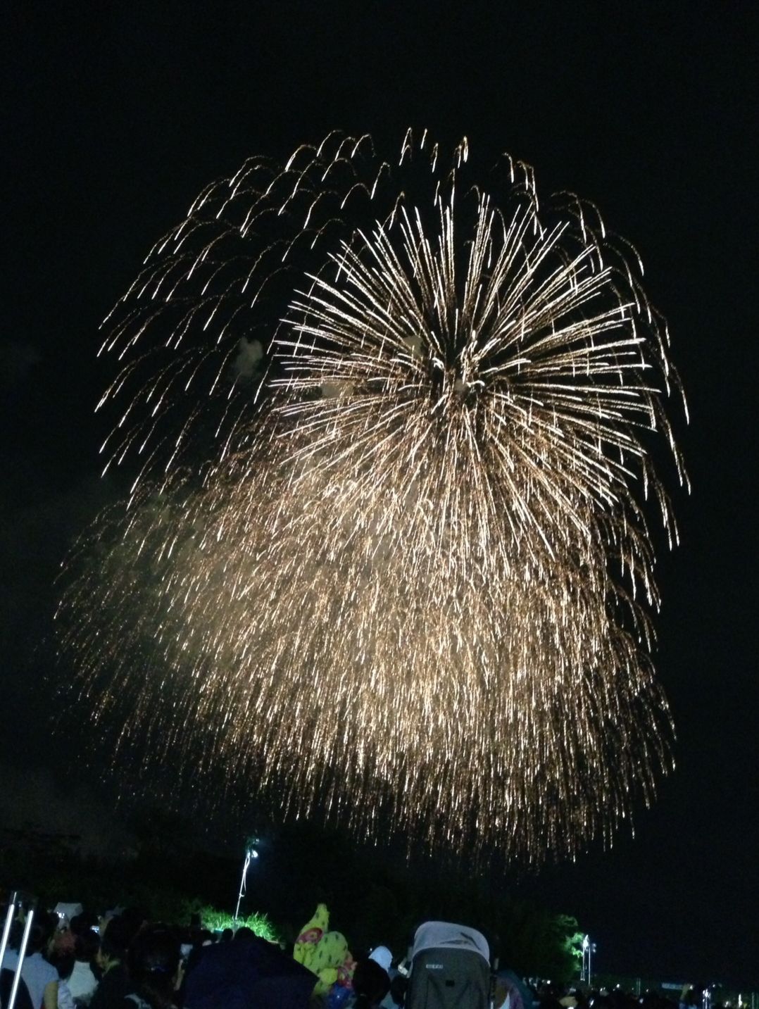 藤井悠のいただき＠夏の思い出！！