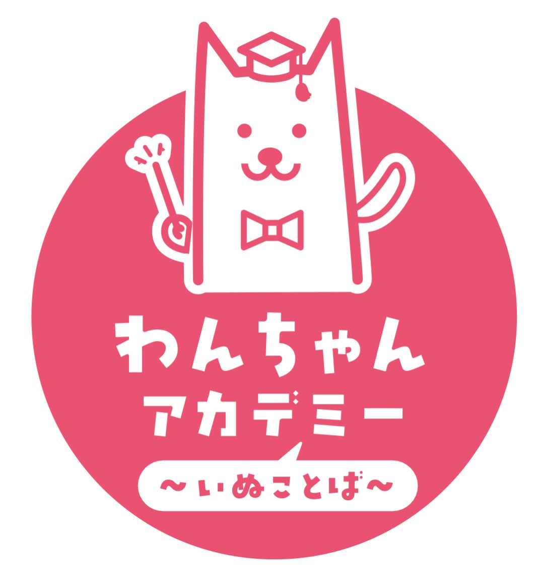 ２０２５年１月７日放送