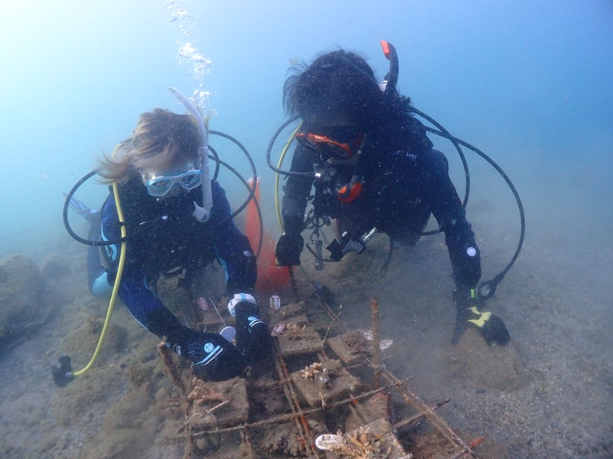 COSMO ECO Marché 第15回 9月11日放送　