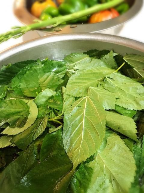 8月31日（水）今日の1コマ