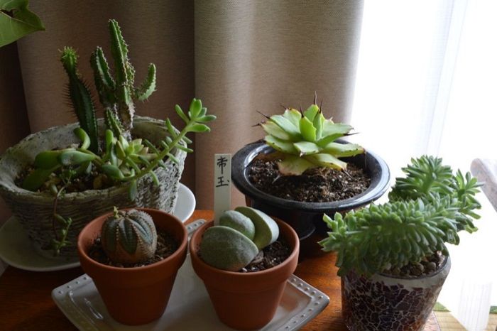 10月14日（火）今日の1コマ