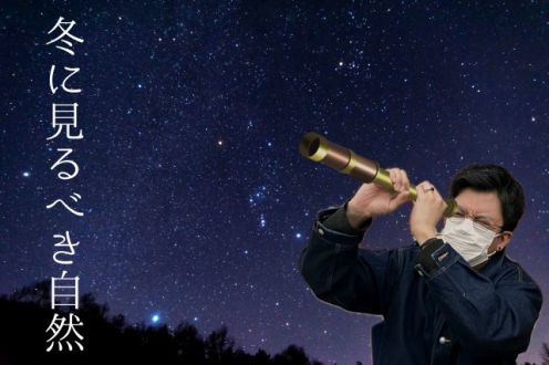 冬に見るべき自然