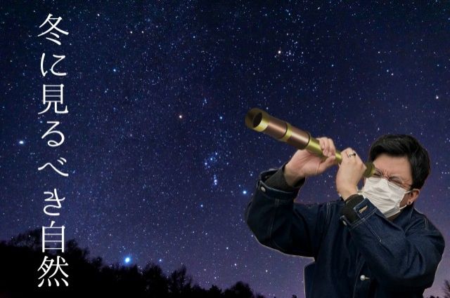 冬に見るべき自然