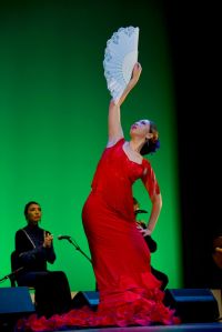 「アルテオハラ」「殿町プラス」　主宰　小原万葉さん【ふるステ】
