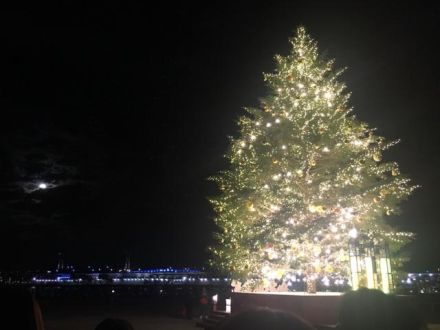 12月5日（水）今日の一コマ