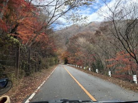 斉藤リョーツのいただき！那須
