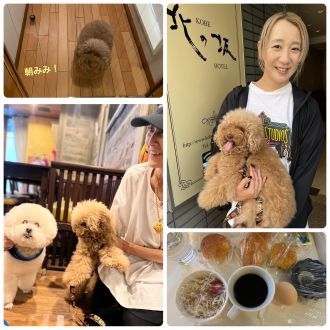 ?番組犬テコとまっぴー　この夏おすすめスポット《兵庫＆神戸編》