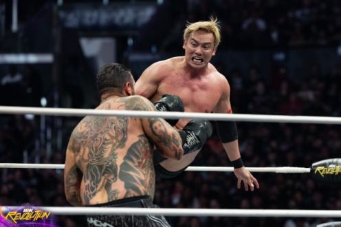 アメリカに帰って、夜な夜な楽しんでいることが…