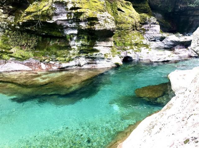 3月12日（木）　今日の1コマ　〜最後の清流〜