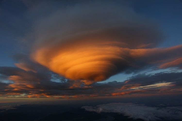 6月17日（水）オヒル ノオト